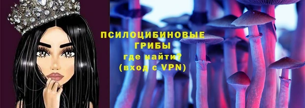 ПСИЛОЦИБИНОВЫЕ ГРИБЫ Богородицк