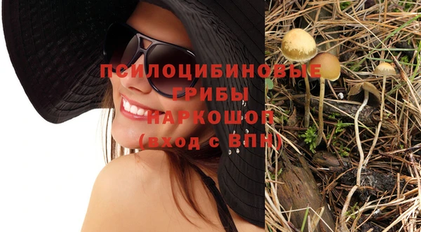 мяу мяу кристалл Богданович