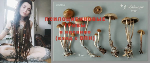 мяу мяу кристалл Богданович