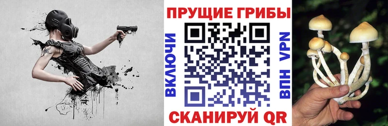 Псилоцибиновые грибы Magic Shrooms  Купить где  Верхоянск 