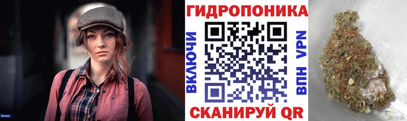 Купить закладки  Верхоянск  Каннабис сатива 